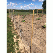 Grillage galvanisé - 1 m x 50 m - souple et rigide avec mailles 2,5 cm x 2,5 cm_2