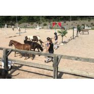 Clôture de carrière - horse stop - lice bois toubin clément modèle déporté, 2 lices - ref. Btcd2l_2