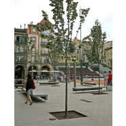 Grille d'arbre en fonte ductile sans peinture - Brico A55N - livrée en 4 pièces avec ancrage auto-ancrage_2