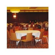 Elly V866 - Chaises empilables - Gamme Dynamica - coque en multiplis avec piétement métallique_2