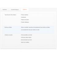 Clôture chevril - Maine Clôtures - semi-ajourée - panneau rainurage horizontal pas 100 mm - forme haute droite - PVC ou aluminium thermolaqué_2