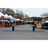 Borne escamotable semi-automatique (hauteur 600mm) conçue pour délimiter un accès réglementé, stationnement - citeasy position basse_2