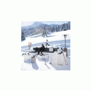 Parasol chauffant de terrasse en métal - Gamme PACIFIQUE - Gris - Fonctionne au gaz - H223 x L81 cm_2