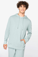 Sweat-shirt écoresponsable unisexe à capuche - French Terry - Réf : NS416 - Native Spirit - 100% coton bio_2