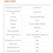 GMS-720P - Groupe électrogène industriel - Generac - 723 kVA - Série GMS Standard - Diesel_2