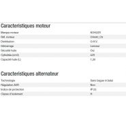 Générateur électrique Phoenix 6300 C5 pour usage domestique ou professionnel