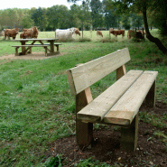Banc en bois campagnard_2