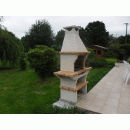 Barbecues professionnels en briques - L145xH220xP59cm - AV1010F - grilloir inox et cuisson au charbon ou bois_2