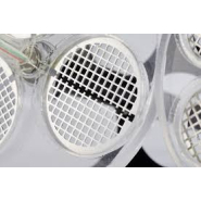 Appareil pour test de désagrégation - Pharma Test PTZ AUTO EZ - Conforme USP et EP, 1 à 4 stations_2