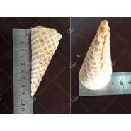 Machine Henan Gelgoog pour cônes de gaufrette en sucre