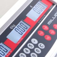 BMQTP-3/6 - Balance commerce bi-échelon - Balance Milliot 3/6 kg - Précision 1 g à 2 g, plateau inox 230x300 mm_2