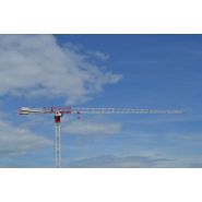 CTT 202-10 Flat Top - Grue à tour Terex - Capacité max. 11 t US / 10 t - Flèche 65 m_2