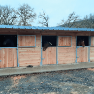 Pack 3 boxes en ligne bois Douglas - BOX012 - personnalisation et montage facile_2