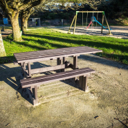 Table publique imputrescible en matériau recyclé valence / accessible pmr_2
