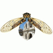 Magnet personnalisé cigale_2