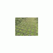 Betogreen - dalle gazon béton - Alkern - 50x33x10 cm - Code article : 26637 D_2