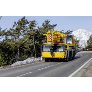 Grue automotrice avec fléchette treillis jusqu'à 43 m