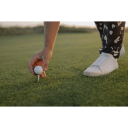 Appareil anti-calcaire vulcan sans sel pour préserver le gazon des terrains de golf_2