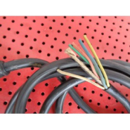 Telecommande pour combine palan chariot roulant avec cable_2