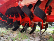 Fraise maraîchère Vigolo FKB 165 - En occasion_2