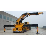 Grue Big 3000 avec capacité de levage de 30 à 300 txm