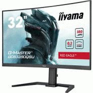 Iiyama G-MASTER GCB3280QSU-B2 écran plat de PC 80 cm (31.5