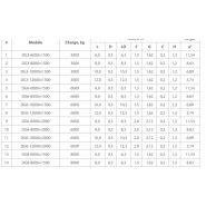 AUSBAU-DG (Type Warehouse-Land) - Rampe fixe d'accès à quai solide en acier - AV-EXIM_2