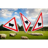 Panneau de danger A15A2 - Passage d'animaux domestiques (mouton) - Signalisation routière_2