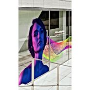 LG 300 - Imprimante grand format UV impression/découpe Roland TrueVIS LG SERIES - impression graphique UV-LED de haute précision_2