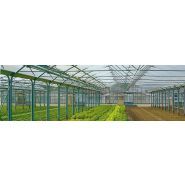 Serre multi-usage modèle NM pour agriculture et zootechnie