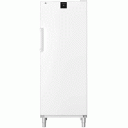 Armoire réfrigérée négative blanche - Statique SmartFrost - 332 L | Liebherr - FFFsg 6501 Performance_2