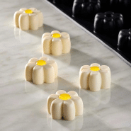 Moule en silicone Pavoflex mini portions