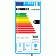 Armoire réfrigérée négative Inox - Ventilée NoFrost - 322 L | Liebherr - FFFCvg 5501 Perfection_2