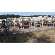 Barrière d'herbage autolock 2-3 mètres pour chevaux et petit bétail - jourdain_2