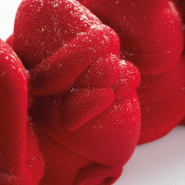 Moule en silicone à bûche PAVONI ITALIA - Père Noël_2