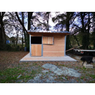 Box Club Pro - Poteaux en métal - BOX016 - Confort et robustesse pour chevaux_2