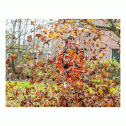 Souffleur à dos thermique x-series 48,9 n 5,7 ch – ECHO – embout rond droit – pb-9010t_2