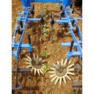 Bineuse compacte compatible avec différents types d'éléments bineurs