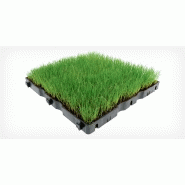 Système de dalles drainantes pour parkings en Nidagrass IG040