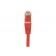 Cordon RJ45 CAT 5e F/UTP rouge - blindé cuivre - 0,3 m - norme ANSI/TIA 568 & ISO 11801 - garantie 20 ans_2