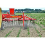 Matériel agricole pour l'étrillage en aveugle des cultures