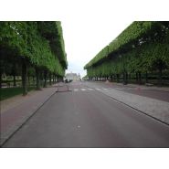 Lamier de coupe par balayage pour élagage professionnel