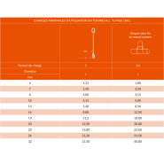 Élingue chaîne de levage 1 brin en acier grade 80 - Capacité jusqu'à 50t - REF : 23150X_2