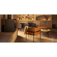 Fauteuil d'accueil chic et ergonomique pour espaces modernes_2