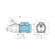 Pompe à Eau Multicellulaire Auto-Amorçante Calpeda MXAM 204 - Inox 0,55 kW, 4,5 m3/h, 220V - Pompe de Surface pour Jardin et Maison_2
