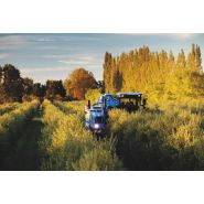Tête de récolte olive New Holland 9090X avec paniers de collecte intégrés