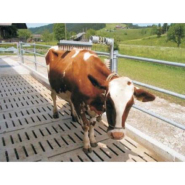 Brosse à vaches VINK - sans réservoir, très puissante et robuste pour l'entretien de la peau_2