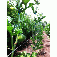 Filet à ramer/tuteurer - 1.70m, 1000m_2