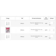 VPB0351 - Porte-brochure mural transparent - VPC Display - pour documents 1/3 A4 (21cm x 10,5cm) - personnalisable_2