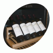 Cave à vin professionnelle noire - 165 bouteilles | Tefcold - TFW400-F_2